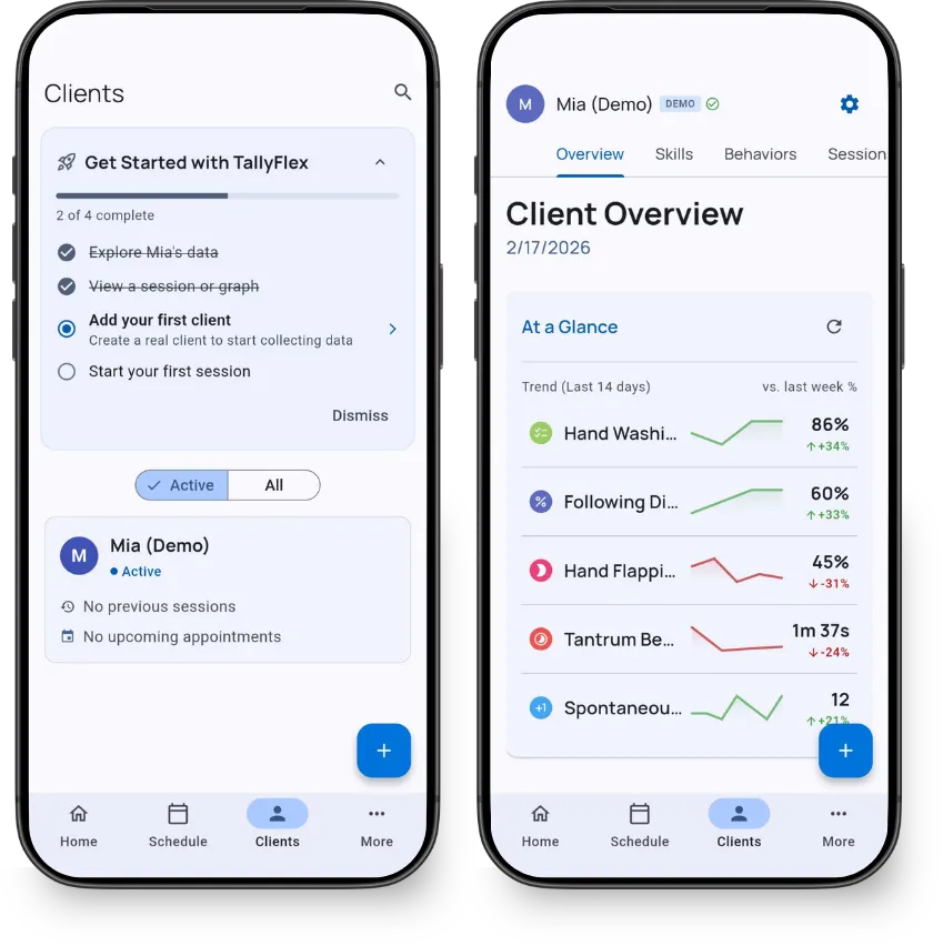 Explore the Demo Client | TallyFlex Documentation | TallyFlex