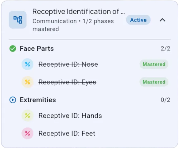 Program hierarchy showing Receptive Identification program with two phases (Face Parts and Extremities) and their targets